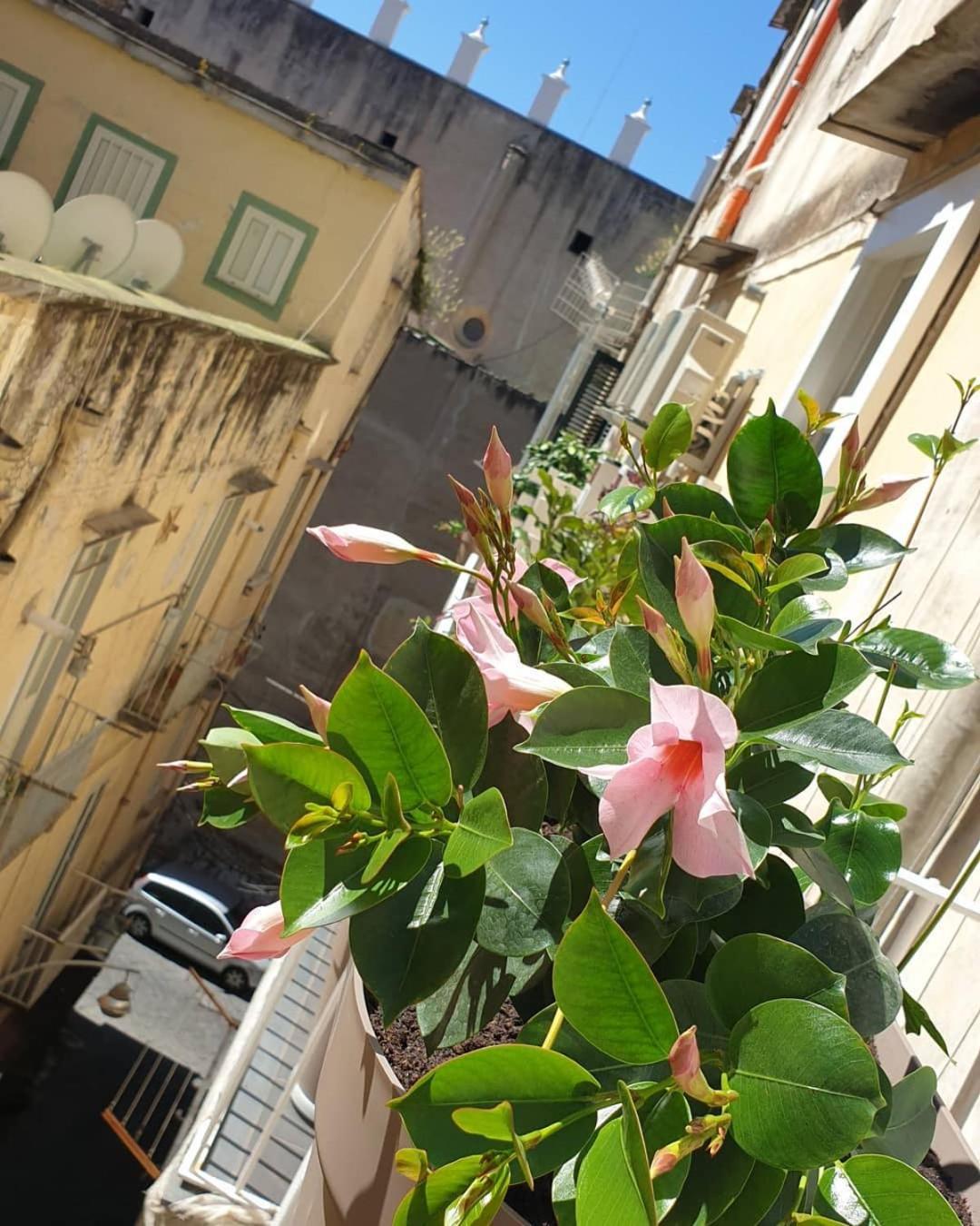 Santa Chiara Inn Napels Buitenkant foto